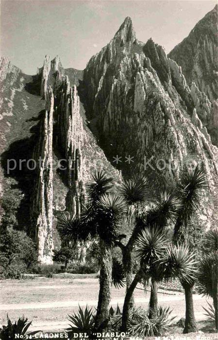 Mexico Carones del Diablo Palmen Gebirge