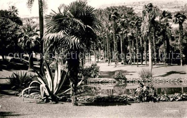 Monte-Carlo Les Jardins du Casino Vision d_Afrique