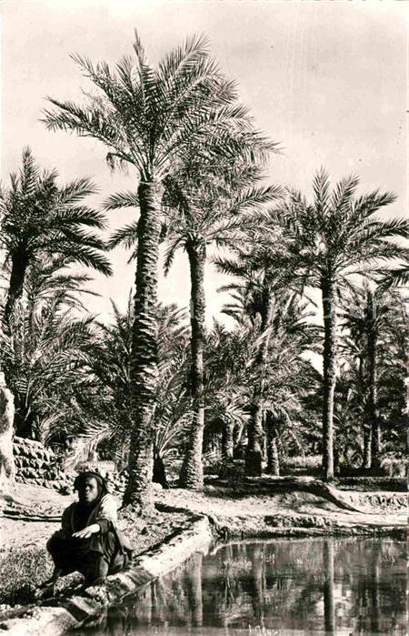Reggane Palmeraie de Sali