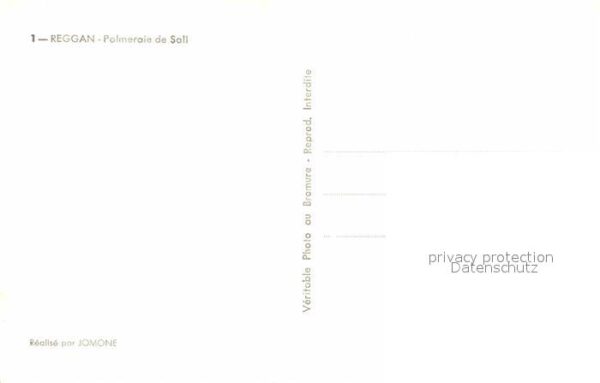 Reggane Palmeraie de Sali – Bild 2