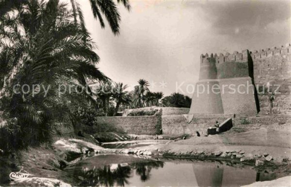 Gafsa En flanant dans la Palmeraie
