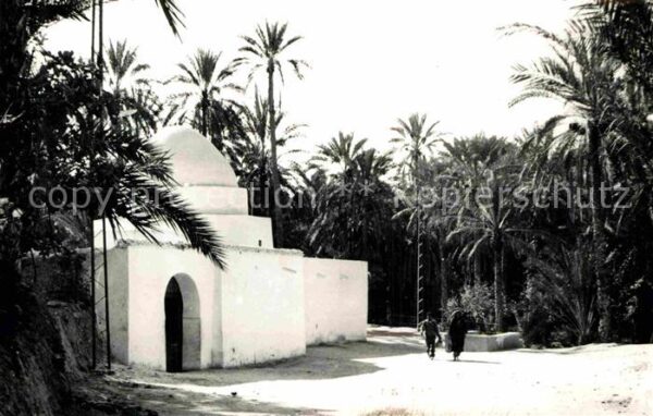 Nefta Sidi Bouali