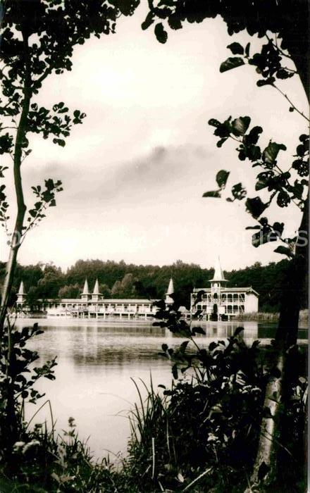 Hevizgyogyfuerdoe Uferpartie am Plattensee