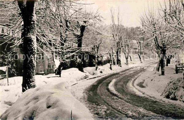 Ain Draham Tunesien sous la Neige Hotel des Fougeres