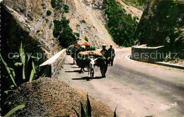 Blida Algerien Gorges de la Chiffa Ochsenkarren