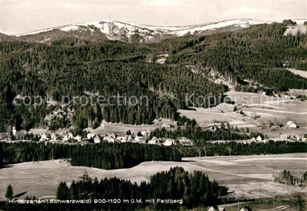 Hinterzarten Panorama Blick zum Feldberg Schwarzwald