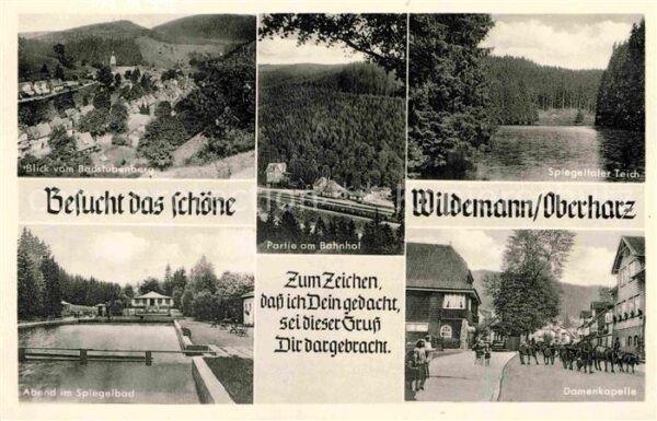 Wildemann Spiegeltaler Teich Blick vom Badstubenb