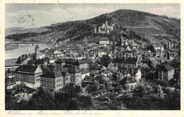 Wertheim Main Panorama