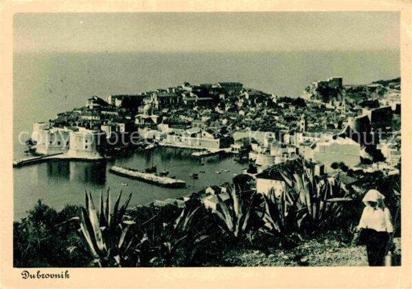 Dubrovnik Ragusa Panorama