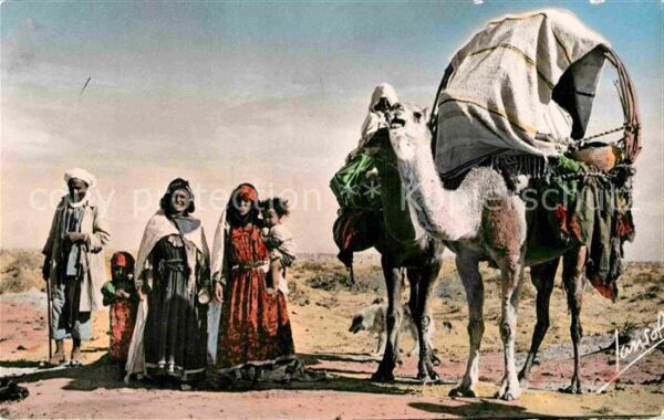 Kamel  Camel Chameau Caravane