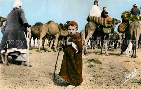 Kamel  Camel Chameau Chameliers Kind