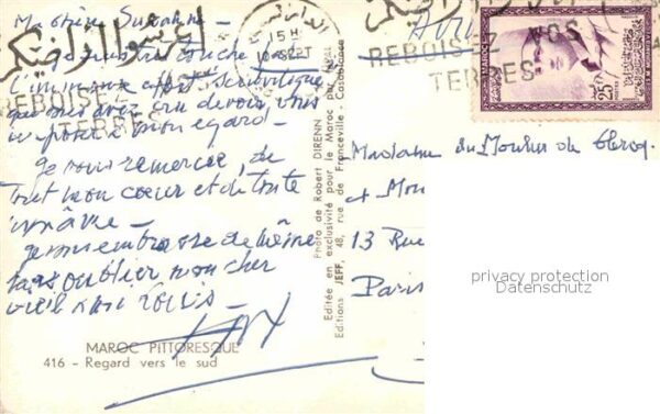 Kamel  Camel Chameau Regard vers le Sud Maroc – Bild 2