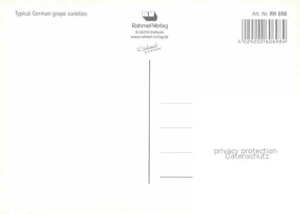 Wein Trauben Kerner Silvaner Müller-Thurgau – Bild 2