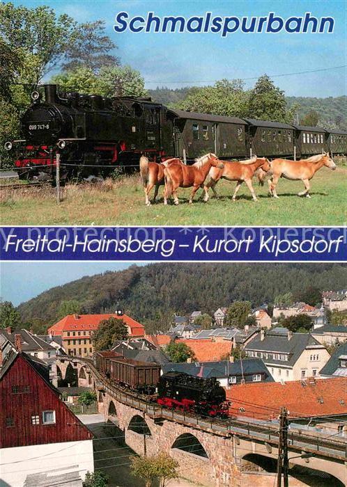 Lokomotive Schmalspurbahn Freital-Hainsberg-Kipsdo