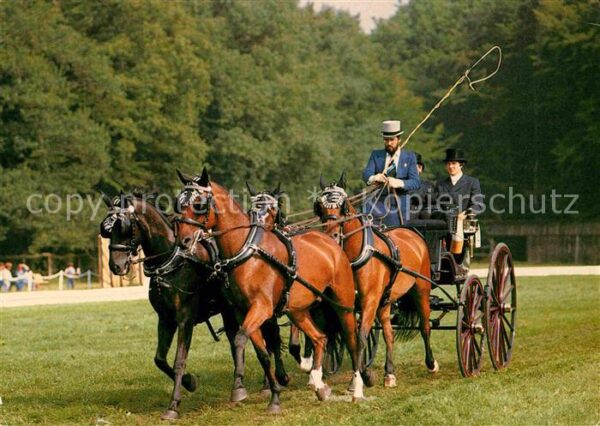 Pferdesport Pferderennen Reitsport Dressur EM Frankreich Christian Iseli