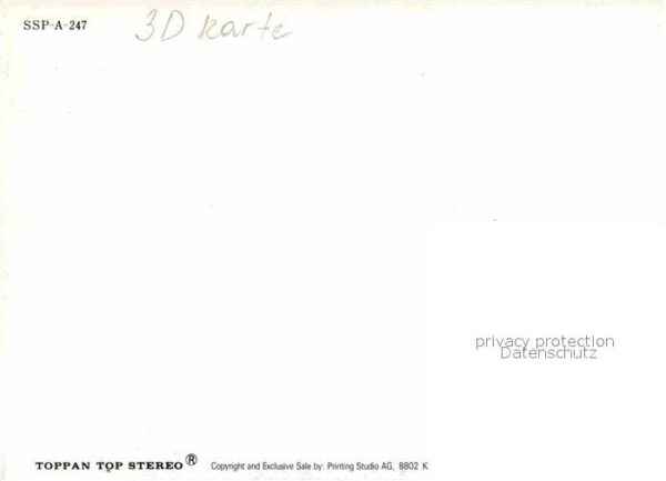 Pferde 3D-Karte – Bild 2