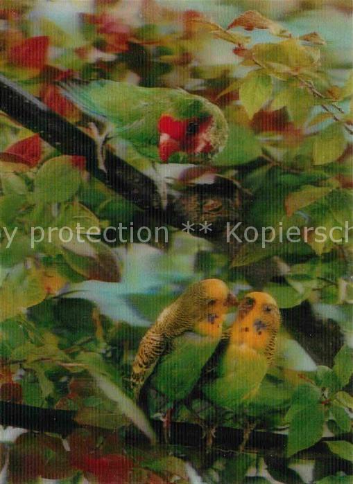 Papagei Parrots 3D-Karte