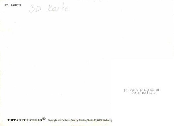 Papagei Parrots 3D-Karte – Bild 2