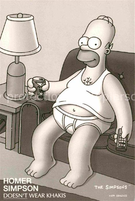 TV Serien The Simpsons Homer Simpson