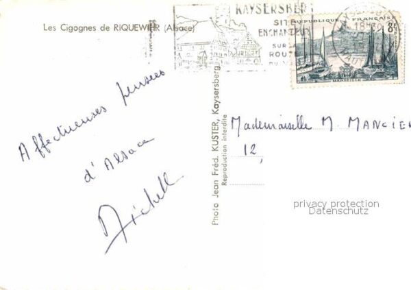 Storch Cigognes de Riquewihr Alsace – Bild 2