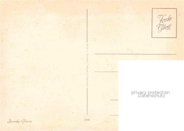 Affen – Bild 2