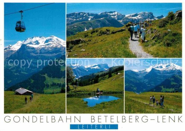 Seilbahn Betelberg-Lenk Leiterli Alpenblumenweg
