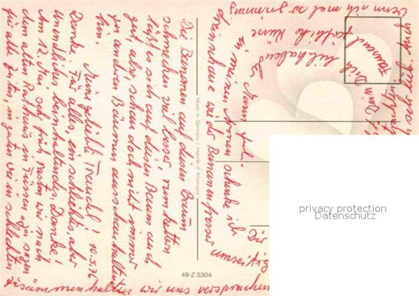 Affen – Bild 2