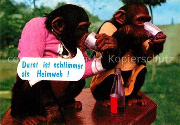 Affen Zoo Sigy-le-Chatel Flasche Durst