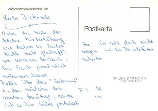 Affen Kodak – Bild 2