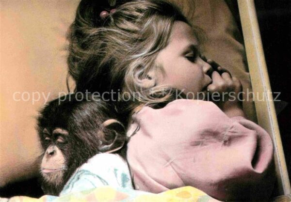 Affen Child and Chimp sleeping