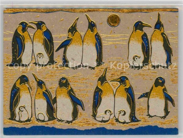 Pinguin Penguin Meeting