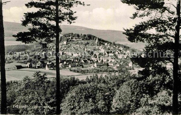 Eversberg Panorama Blick vom Waldrand aus