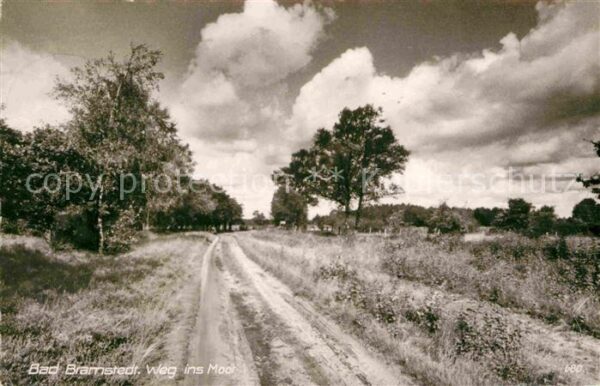 Bad Bramstedt Weg ins Moor
