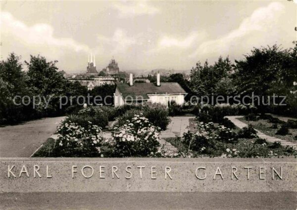 Erfurt Karl Foerster Garten Staudensichtungsga