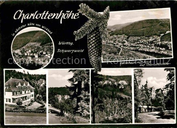 Calmbach Enz Panorama Blick auf Charlottenhöhe Tanne