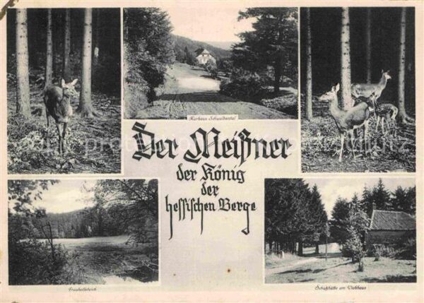 Abterode Kurhaus Schwalbental am Meissner König