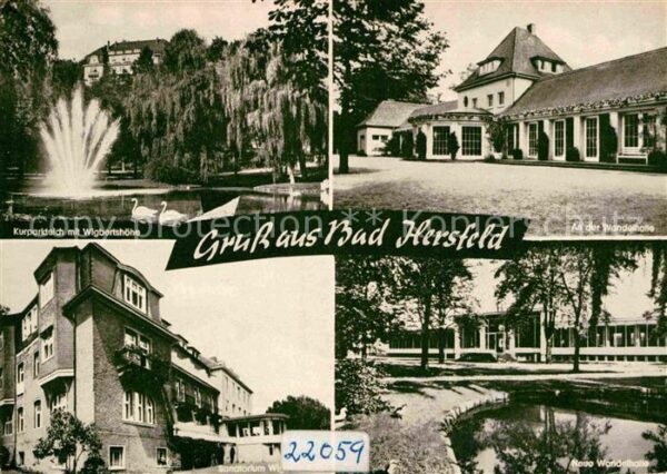 Bad Hersfeld Kurparkteich Schwäne Fontäne Wigbertshö