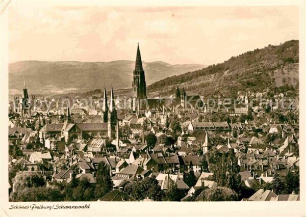 Freiburg Breisgau Stadtpanorama mit Münster Blick zum Sch