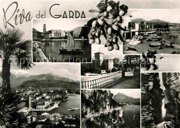 Riva del Garda Panorama Gardasee Alpen Zitronen Wasser