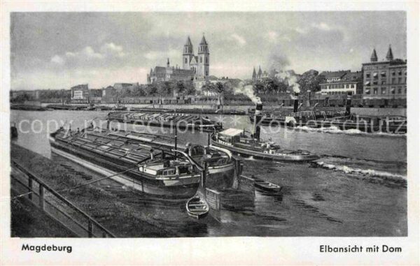 Magdeburg Dom Elbe