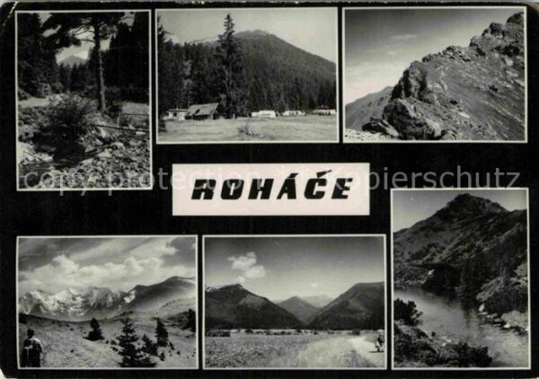 Rohace Wald Wiese Fluss