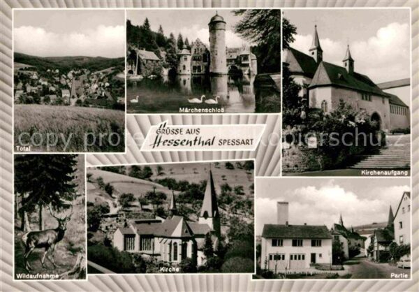 Hessenthal Spessart Märchenschloss Wildaufnahme Partie Kirc