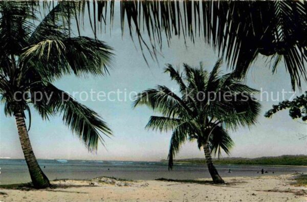 Sainte Anne Guadeloupe La Plage