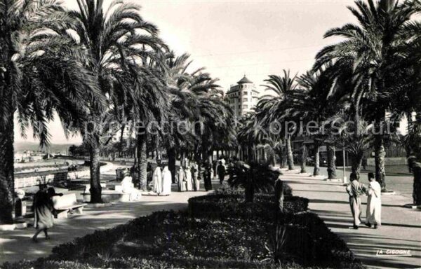 Tanger Tangier Tangiers Avenue d_Espagne