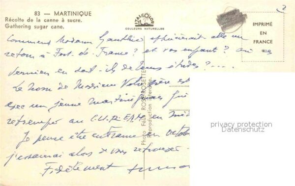 Martinique Recolte de la canna sucre Zuckerrohrern – Bild 2