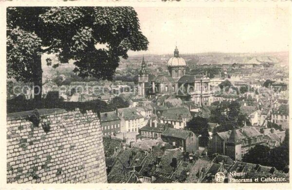 Namur Wallonie Panorama et Cathedrale