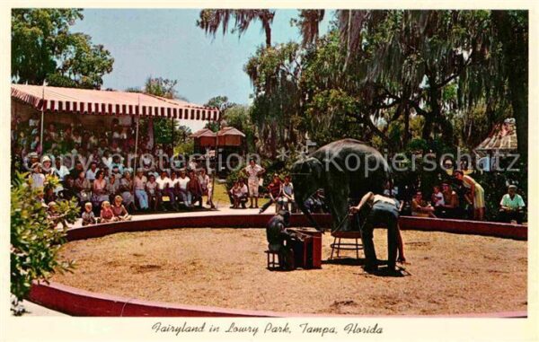 Tampa Florida Elephant and Chimp Lowry Park Fairyland