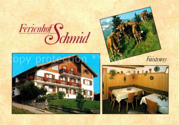 Faistenoy Ferienhof Schmid Almvieh Kühe Alpen