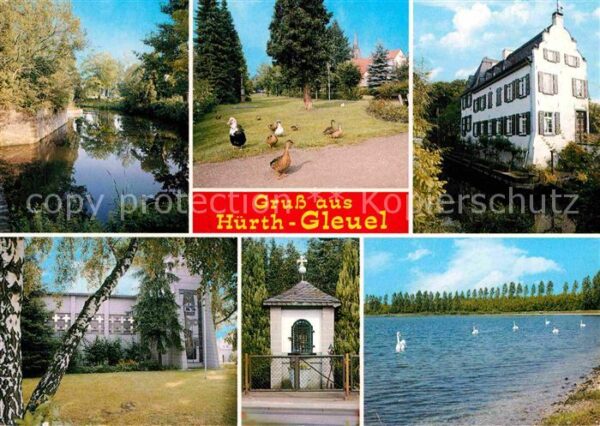 Gleuel Partie am Wasser Wasservögel Wasserburg