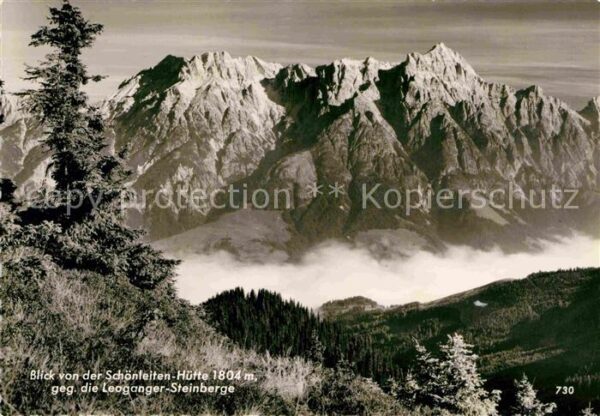 Schoenleitenhuette Alpenpanorama Blick gegen Leoganger Ste